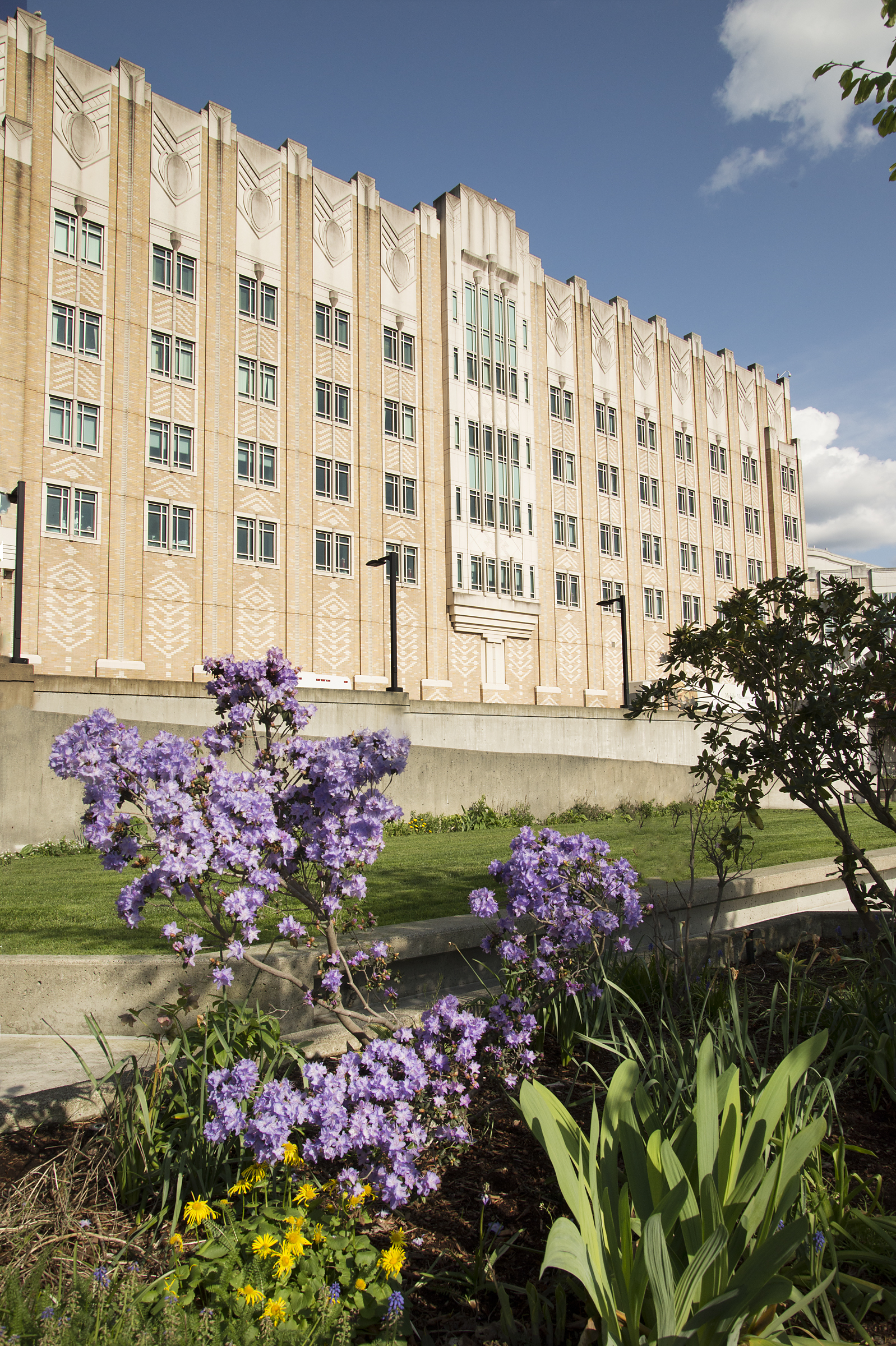 Harborview Medical Center 50 of the Greenest Hospitals in America 2015